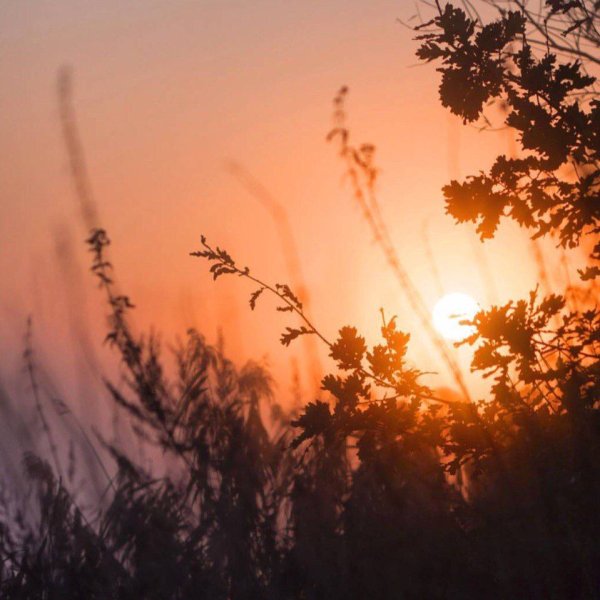 Солнце Эстетика