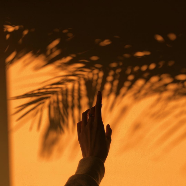 Вид из окна рассвет