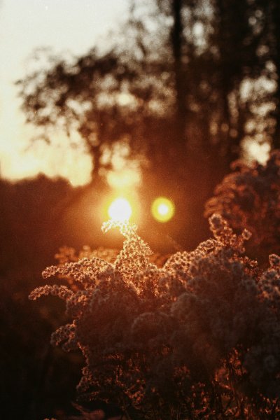 Атмосферные пейзажи