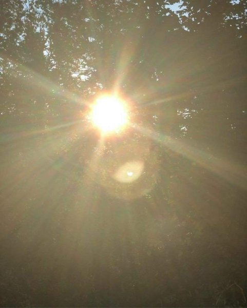 Фон природа рассвет