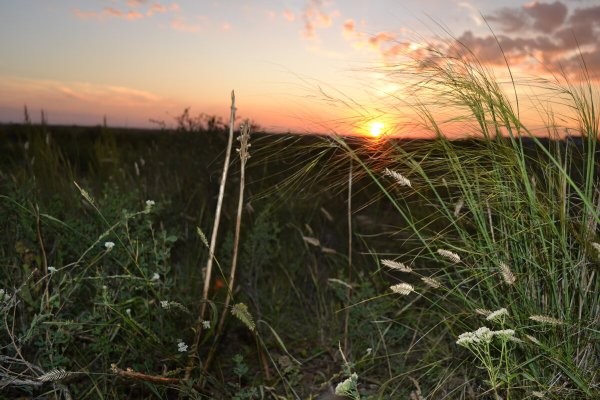 Скрылося солнце за степью