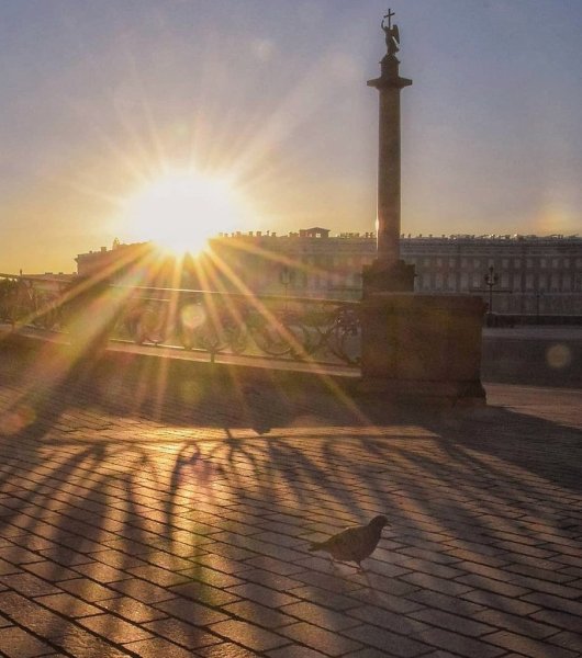 Солнце в Питере