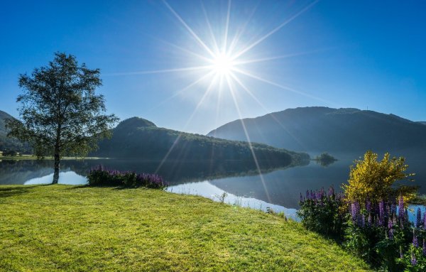 Природа солнце