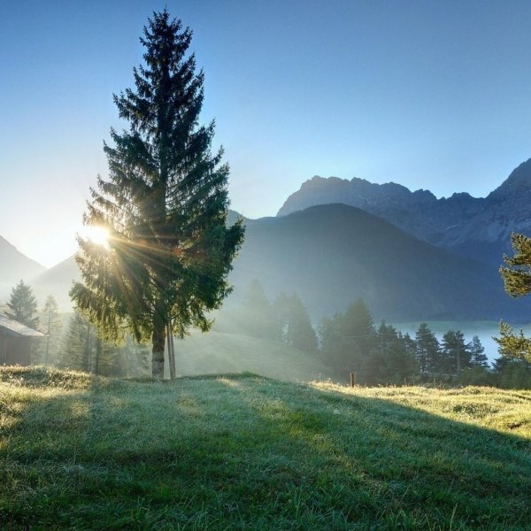 Утро природа