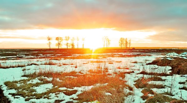 Весенний лед
