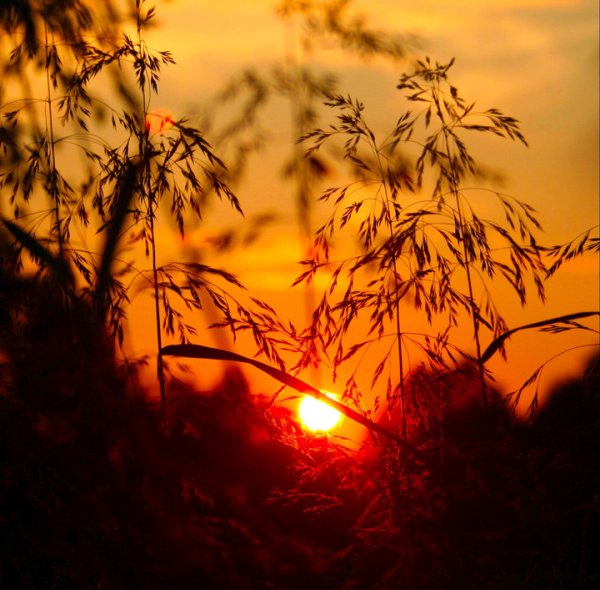 Солнце на заре