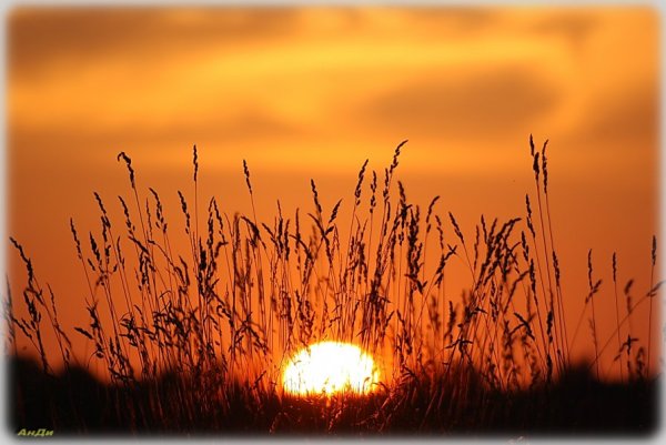 Человек под зонтом от солнца