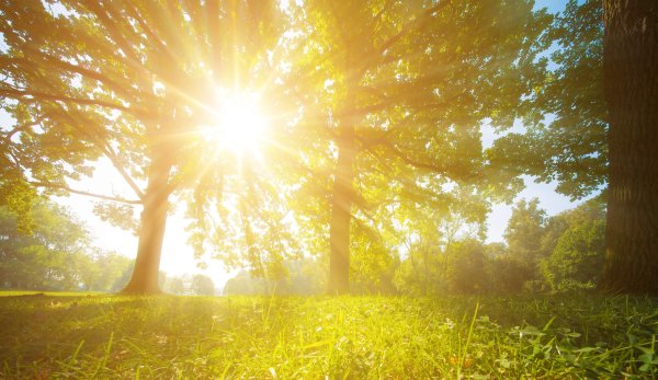 Светлое солнце