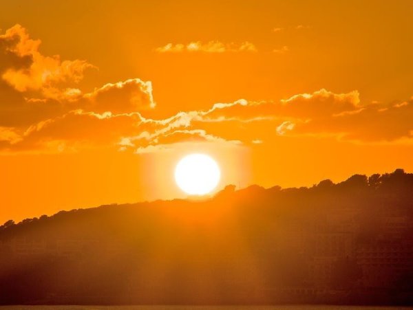 Солнце радость