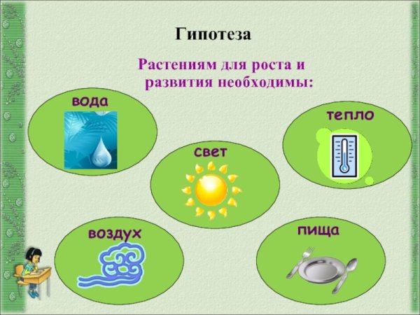 Что нужно для роста растений