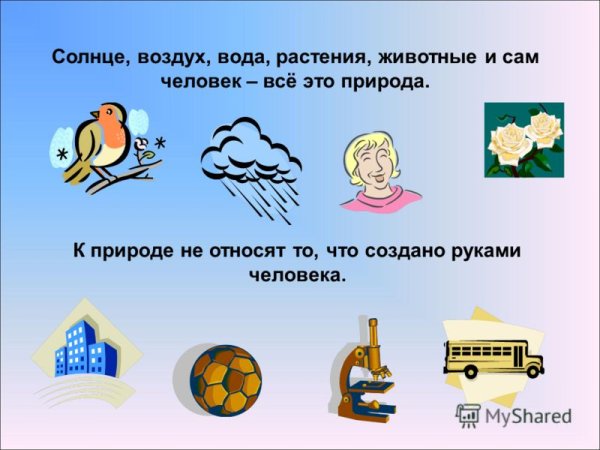 Природа и все что создано руками человека