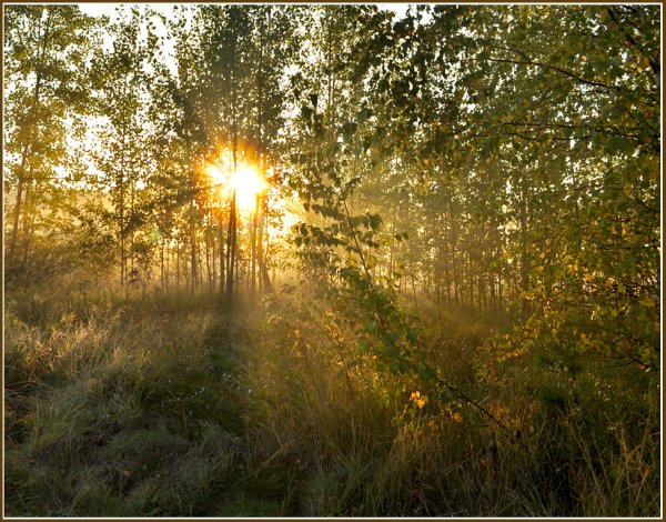 Первые лучи солнца