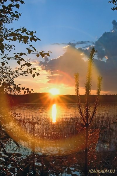 Утреннее Весеннее солнце