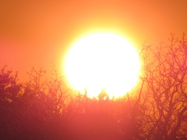 Восход солнца на прозрачном фоне