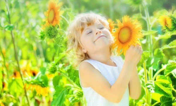 Солнце дети мир