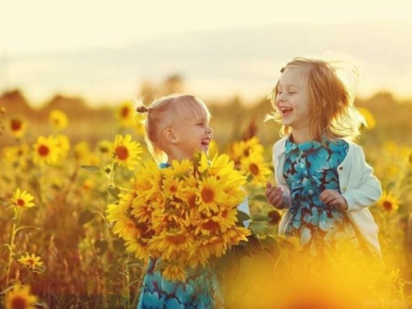 «Радость лета»