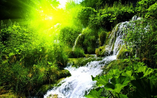 Водопад зелень