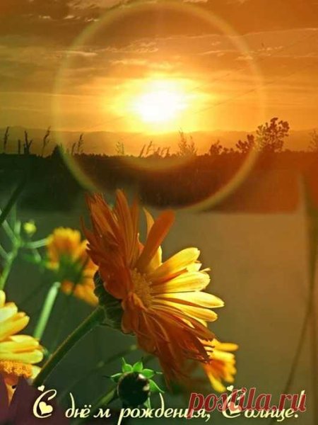 Солнца света и тепла с добрым утром