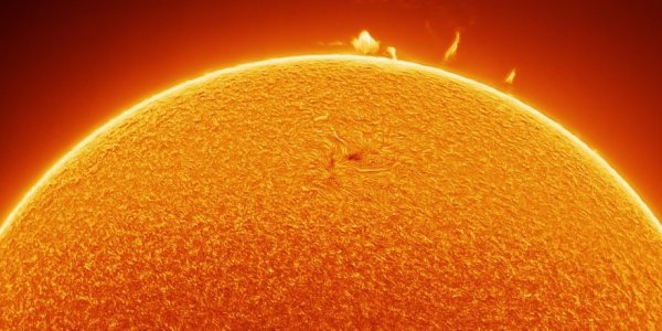 Юное солнце