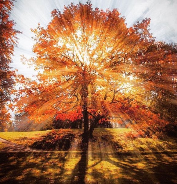 Осеннее солнце