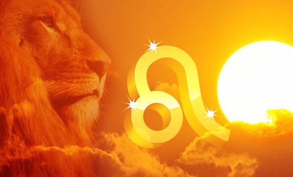 Лев и солнце