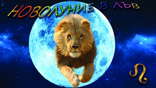 Лев и солнце