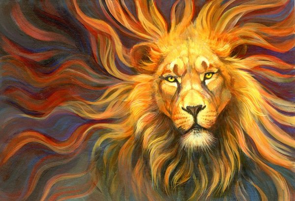 Лев и солнце