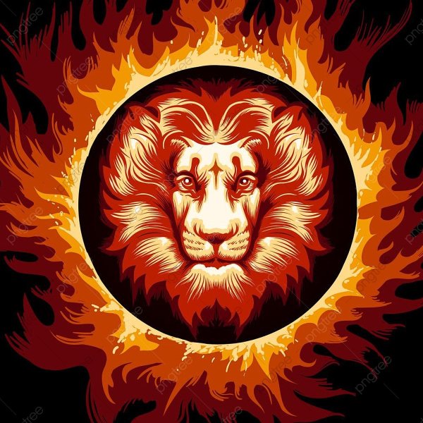 Лев и солнце