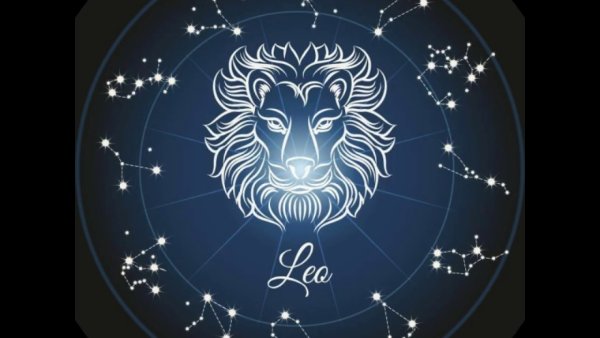 Огненный Лев Кумадори