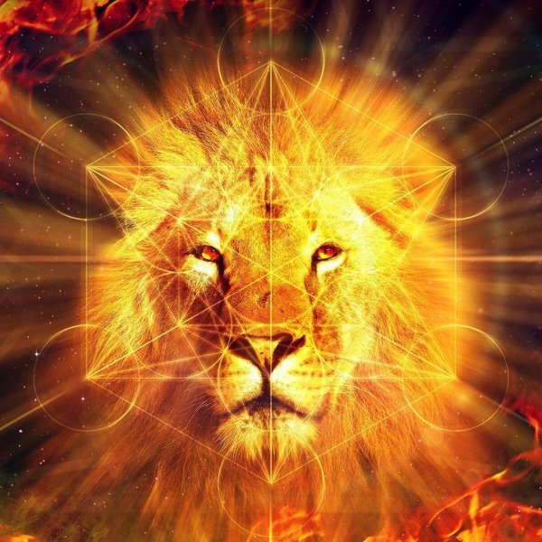 Солнечный Лев