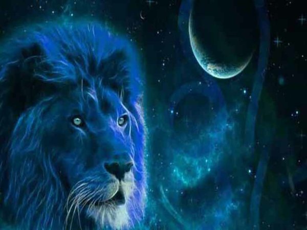 Знак зодиака Лев тату эскиз