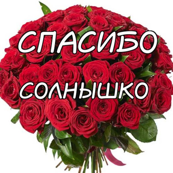 Спасибо солнышко