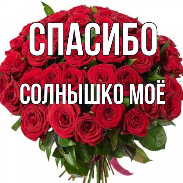 Спасибо дорогой мой человек