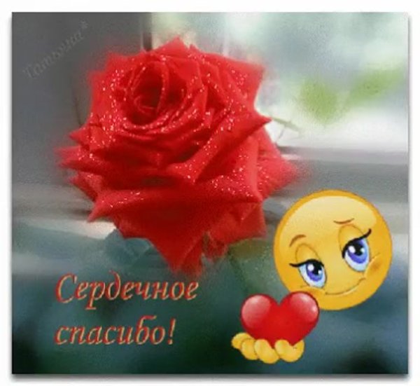 Розы для моей любимой