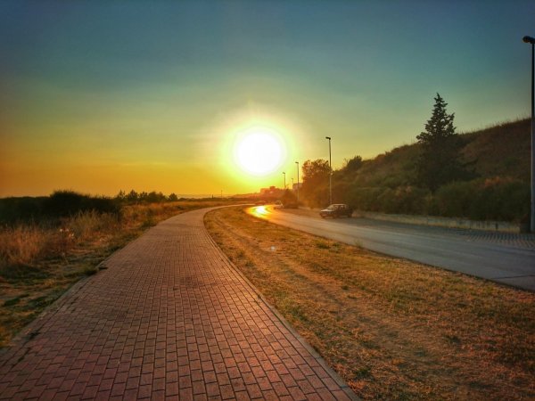 Дорога летом