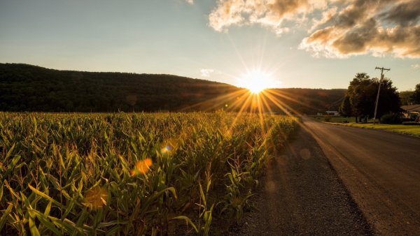 Солнце на горизонте