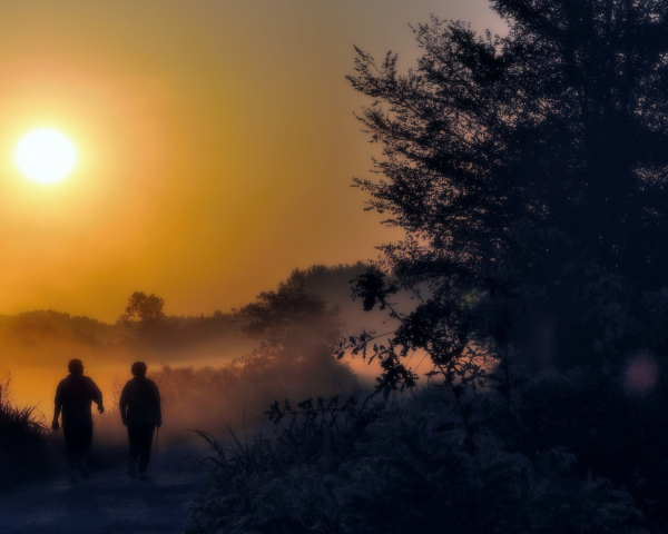 Дорога закат машина