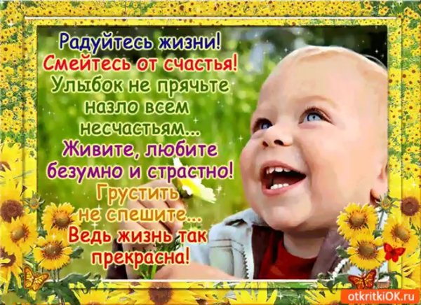 Живите и радуйтесь жизни стихи