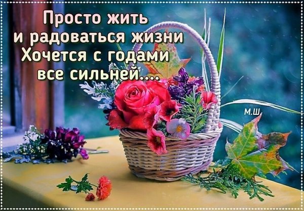 Улыбок счастья и добра