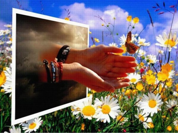 Всем счастья