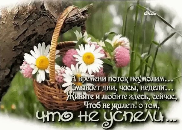 Живите с радостью и добром