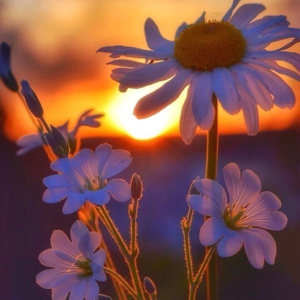 Весны и радости в душе