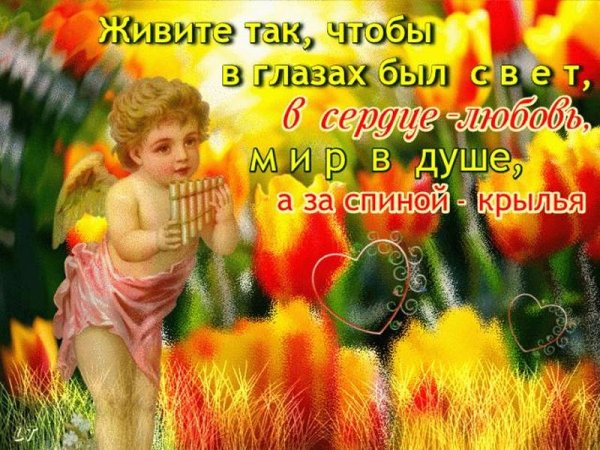 Счастье просто жить и жить