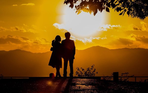 Пара на закате