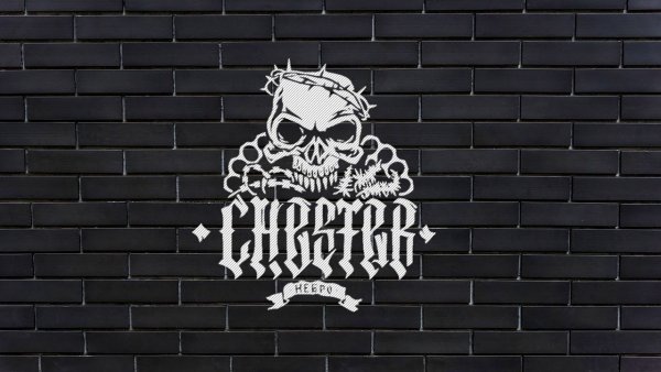 Честер Небро мое солнце