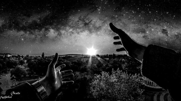 Дима Честер Небро