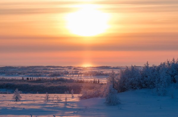 Северное солнце