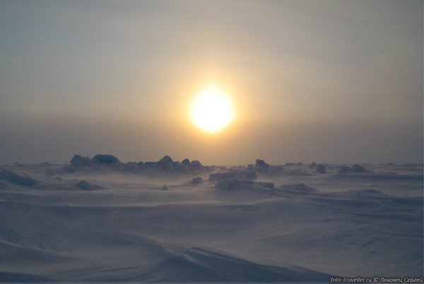 Северный полюс Полярный день