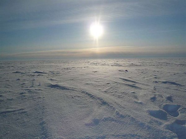 Южный полюс Полярный день