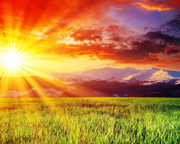 Желтое солнце на небе